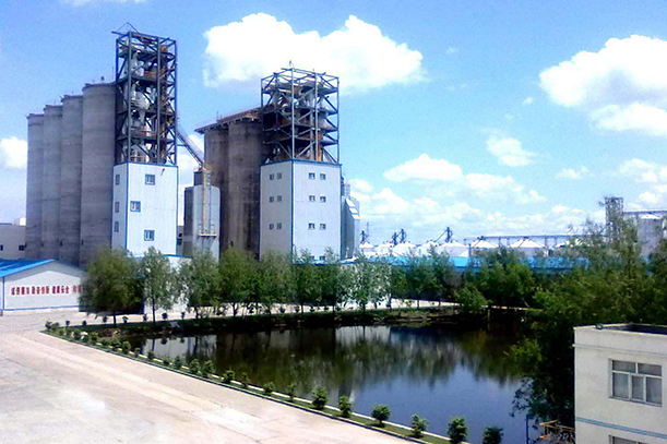 廣西大海糧油用戶(hù)案例